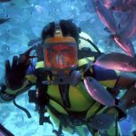 Scuba Diving for Beginners