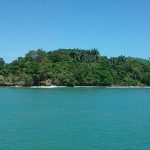 Scuba Dive Isla Uvita (Limon)