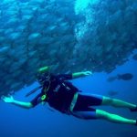 Flamingo Beach Resort Dive Center