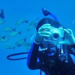 Mystic Dive Center