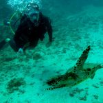 Oceans Unlimited Scuba Diving
