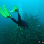 Rich Coast Diving