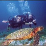 Scuba Dive Packages to Cocos Island