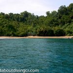 Caño Island Beach