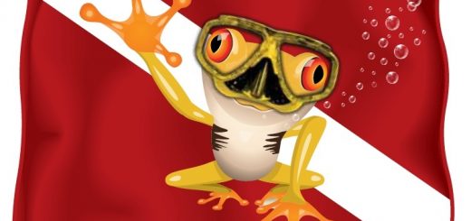 Rocket Frog Divers