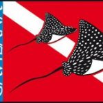 Buceo Gavilana Dive Centre