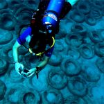 Artificial Reefs made from Old Tires – A Bad Idea